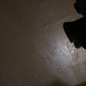 Meet your Posher, Eva